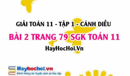 Giải bài 2 trang 79 Toán 11 tập 1 SGK Cánh Diều